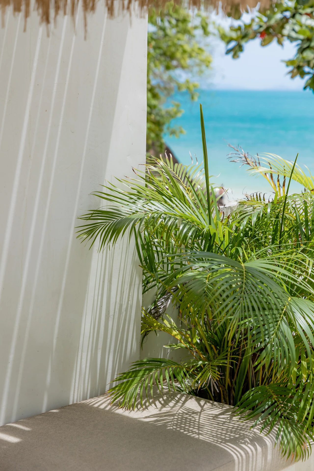 Life at Cape Beach Villa – a boutique villa stay by a calm beach in Koh Samui – photo 22 of 30